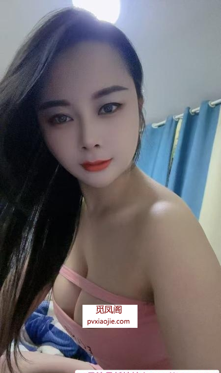 包河小夜猫